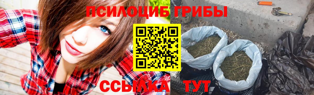 Галлюциногенные грибы Psilocybe  Псилоцибиновые грибы мицелий  Вход с VPN  Славгород 